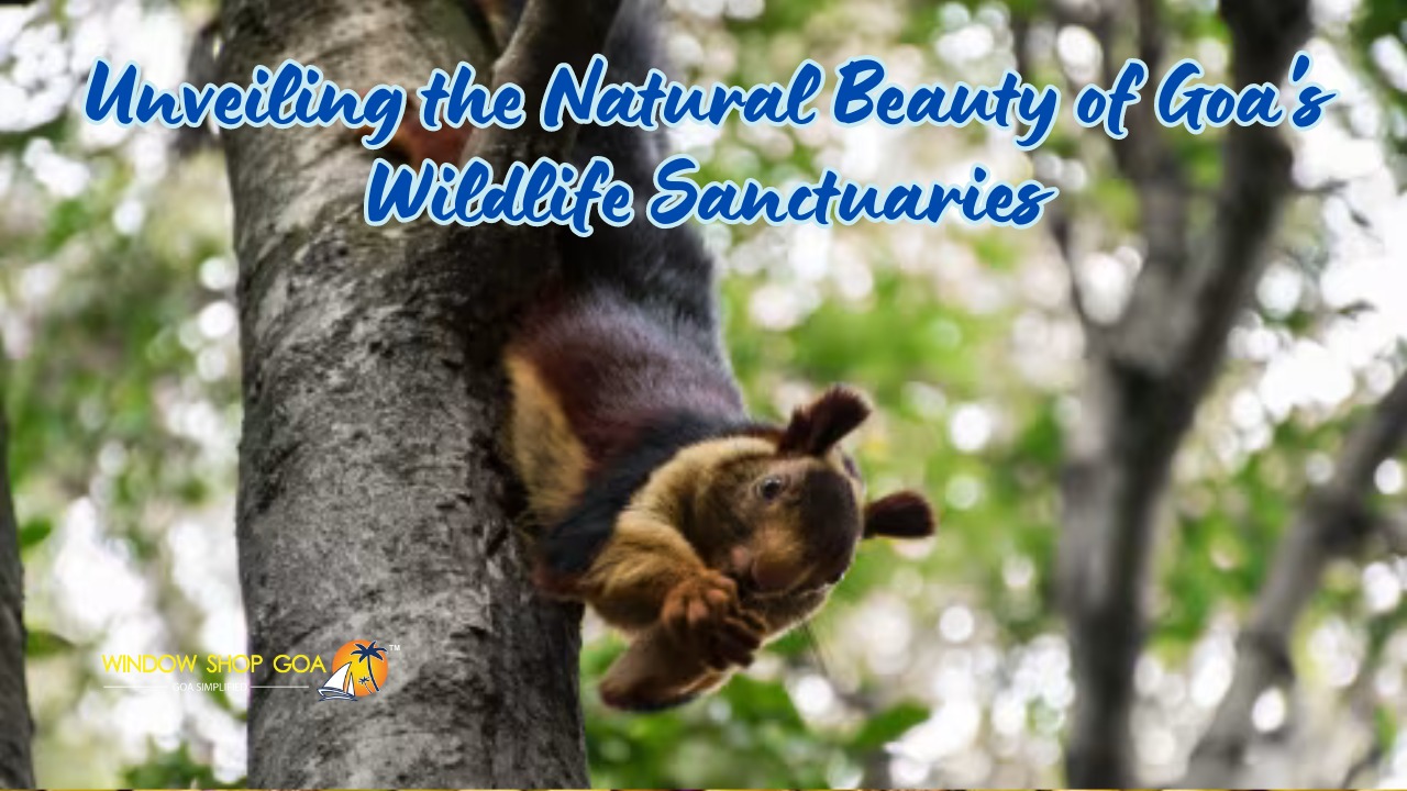 Unveiling the Natural Beauty of Goa's Wildlife Sanctuaries